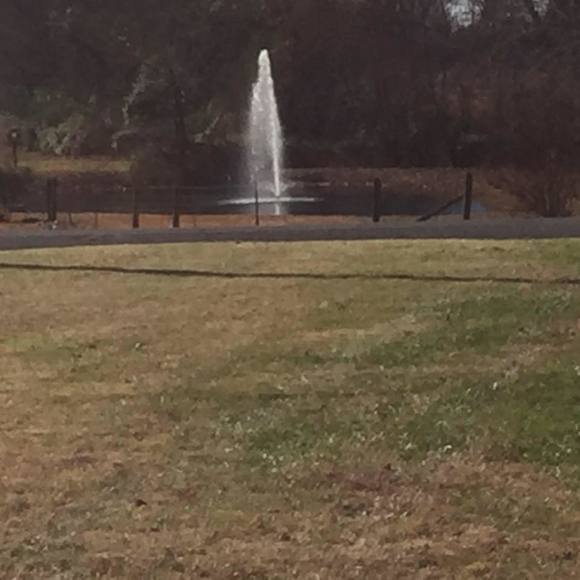 Meet your Posher, Ricky - Picture 1 of 1